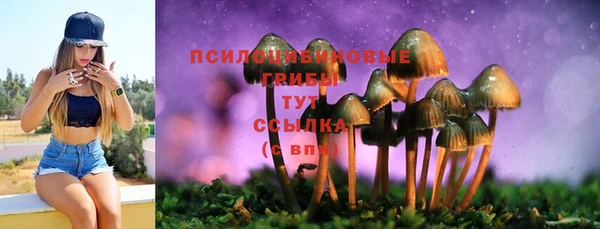 кокс Ельня