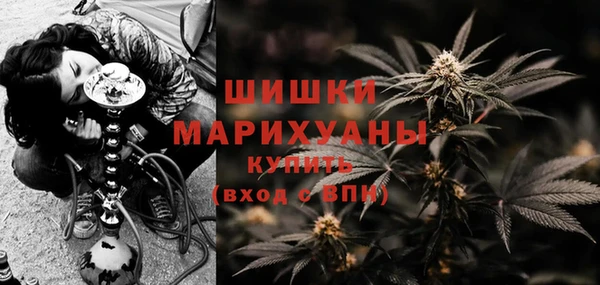 кокс Ельня