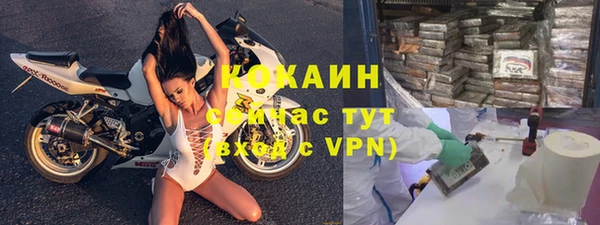 кокс Ельня